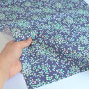 【nora. ノラ】24SU-FR1243-BR-C(ブロード)(3E-03) ブルー 小花柄 星 記号柄 デジタル コットン100% 【10cm単位販売】