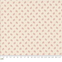 【Moda モダ】Pumpkin Spice Gatherings-49292-13(2A-06) 葉っぱ リーフ柄 植物柄 秋 オレンジ アイボリー シーチング 110cm幅【10cm単位販売】