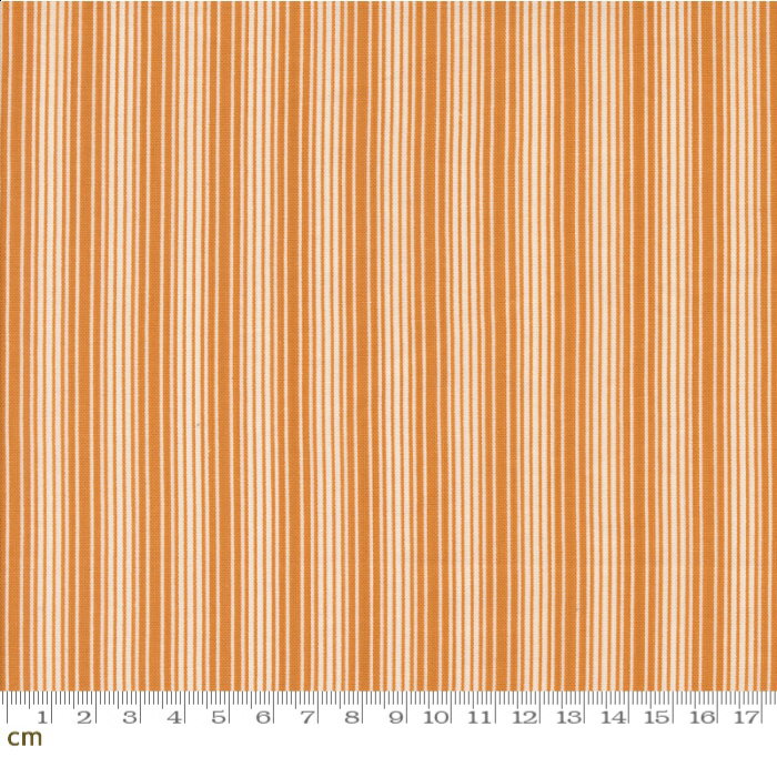 【Moda モダ】Pumpkin Spice Gatherings-49298-14(3A-01) 細め ストライプ ライン柄 ボーダー オレンジ..