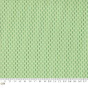 【Moda モダ】Raspberry Summer-37696-25(3A-01) グリーン ストライプ シンプル かわいい コットン100% シーチング 110cm幅【10cm単位販売】