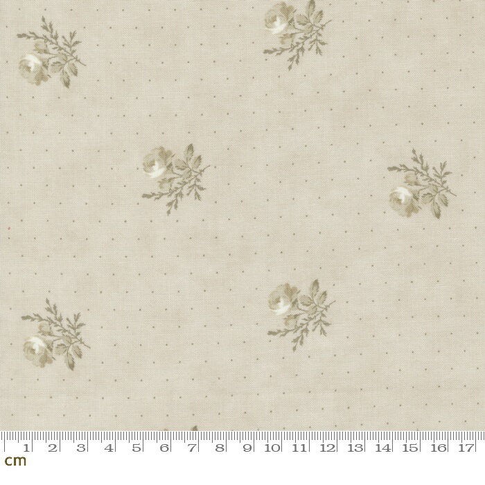 ١㤨֡Moda Ridgewood-14972-12(2E-06 졼  ɥå ƥ åȥ100%  10cmñۡפβǤʤ198ߤˤʤޤ