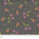 【Moda モダ】Seashore Drive-37621-20(2A-03) ブラック系 グレー系 黒色 ねずみ色 パステル 小花柄 花柄 コットン100% シーチング 【10cm単位販売】