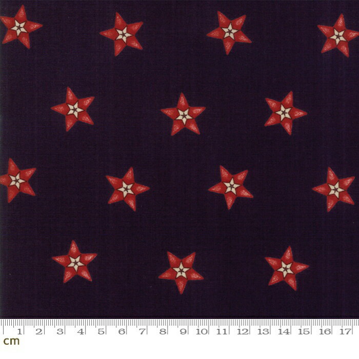 Moda Star and Stripe Gatherings-1260-16(2D-05)  åɷ ͥӡ ֥å åȥ100% 󥰡10cmñ