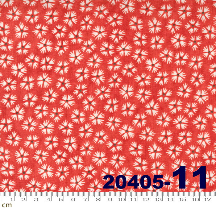 ڥݥ500OFFStrawberries &Rhubarb-20405-11(2E-05)  å  İ åȥ100 󥰡10cmñ