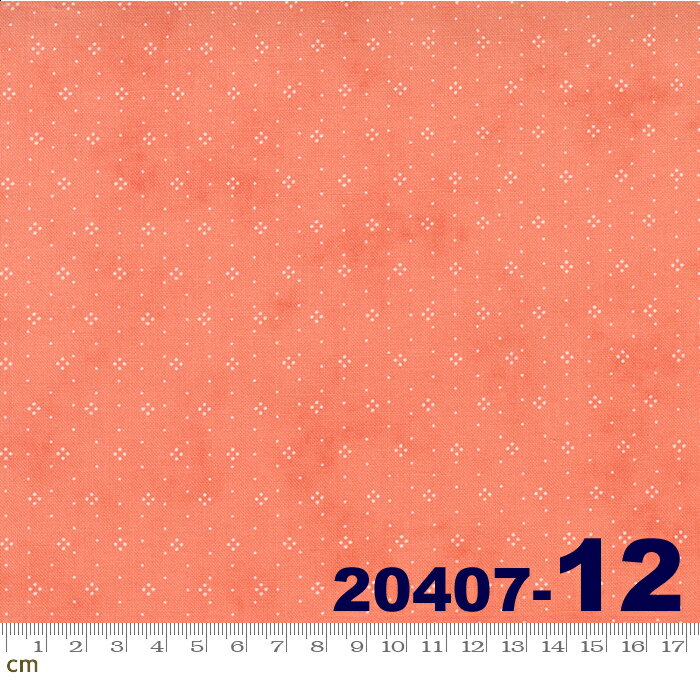 ڥݥ500OFFStrawberries &Rhubarb-20407-12(2E-05)  å  İ åȥ100 󥰡10cmñ