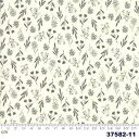 【Moda モダ】Summer Sweet-37582-11(2D-05) ホワイト系 チャコールグレー系 花柄 植物柄 スノーデイジー コットン100% シーチング【10cm単位販売】