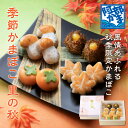 阿部蒲鉾 笹かまぼこ 笹かま 蒲鉾 詰め合わせ【里の秋】 宮城 仙台 名産 御歳暮 お歳暮 内祝い お祝い お取り寄せ 初節句 贈り物 練り物 かまぼこ プチギフト プレゼント ギフト セット お取り寄せ お返し お土産 土産 惣菜 お土産