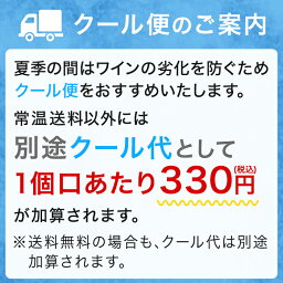 サロン・ブラン・ド・ブラン　[2008]年 マグナム（1500ml）【送料無料】【シャンパーニュ白／発泡】【正規品】【辛口】