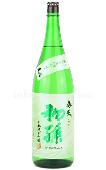 【日本酒】 初孫 奏風(かなた) 生もと純米吟醸 生酒 2024 1.8L（要冷蔵）