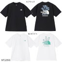 ネコポス選択可【THE NORTH FACE】S/S Free Run ES Graphic Crew ショートスリーブフリーランイーエスグラフィッククルー/ユニセックス/国内正規品/ノースフェイス(NT12593)(4)