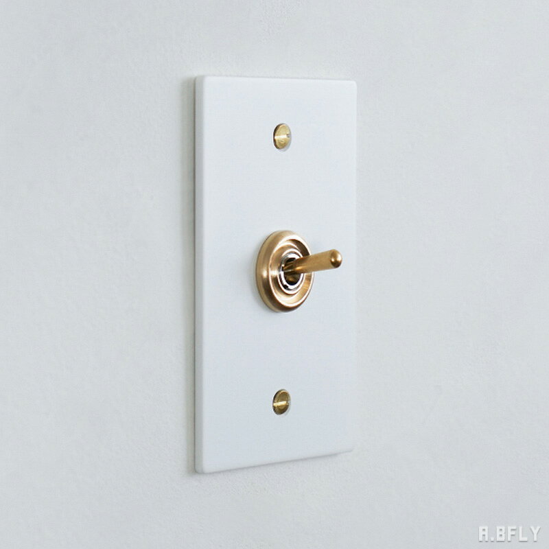 スチールプレート 1スイッチ ホワイト 白 スイッチ 1口 ミニマル スチール製 鉄 トグルスイッチ 照明 照明器具 レトロ インダストリアル 無機質 シンプル DIY 壁スイッチ トグル 雑貨 新築 店舗 おしゃれ 施主支給 リノベーション デザイン住宅 新築 自由設計 建築士