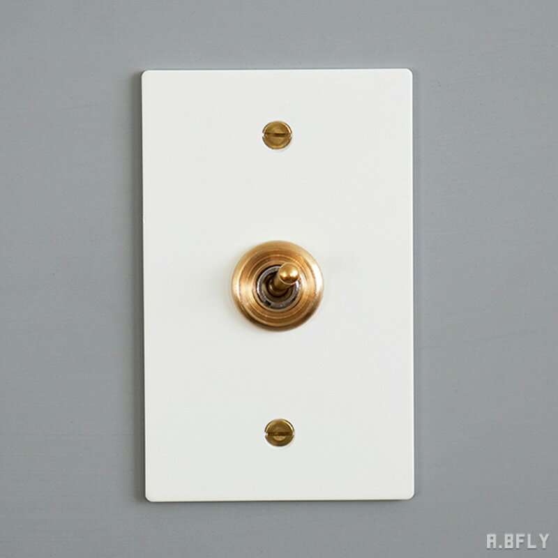 スチールプレート 1スイッチ ホワイト 白 スイッチ 1口 ミニマル スチール製 鉄 トグルスイッチ 照明 照明器具 レトロ インダストリアル 無機質 シンプル DIY 壁スイッチ トグル 雑貨 新築 店舗 おしゃれ 施主支給 リノベーション デザイン住宅 新築 自由設計 建築士 2