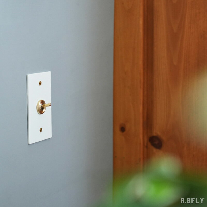 スチールプレート 1スイッチ ホワイト 白 スイッチ 1口 ミニマル スチール製 鉄 トグルスイッチ 照明 照明器具 レトロ インダストリアル 無機質 シンプル DIY 壁スイッチ トグル 雑貨 新築 店舗 おしゃれ 施主支給 リノベーション デザイン住宅 新築 自由設計 建築士 3