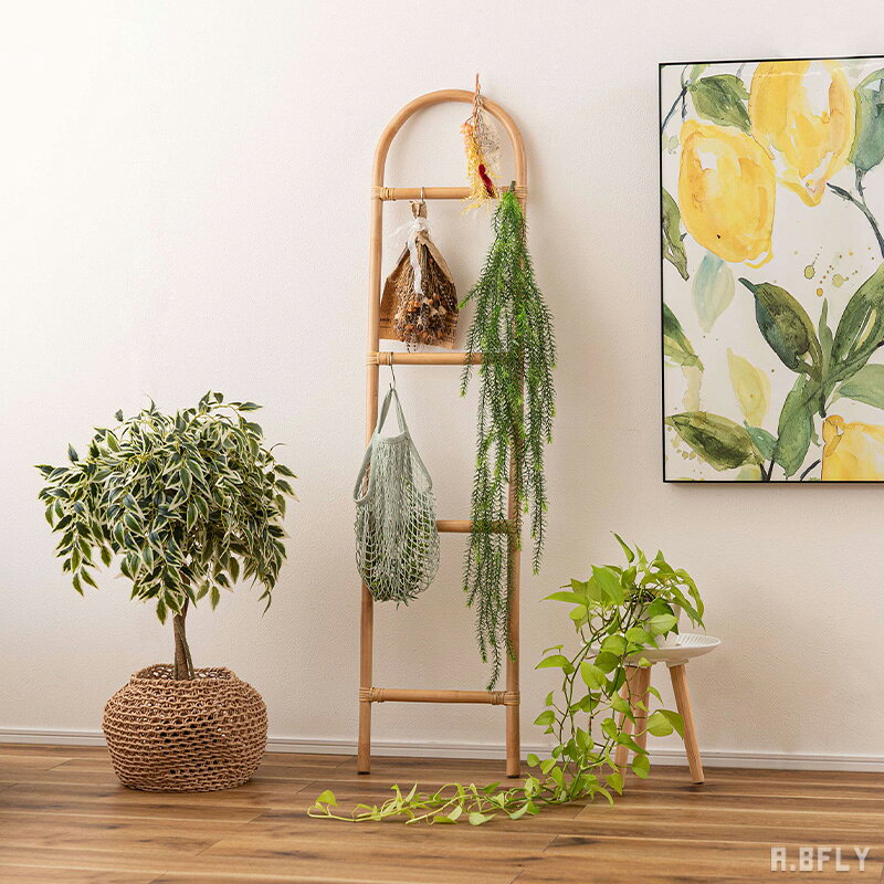樂天商城 - ラダーハンガー アーチ型 アーチラダー ハンガーラック ラタン製 天然素材 天然ラタン 自然素材 ディスプレイスタンド ナチュラルモダン グリーン ハンギングラック 壁面収納 洋服掛け スリム アジアン 南国 立てかけ 玄関 寝室 リビング ドライフラワー 完成品