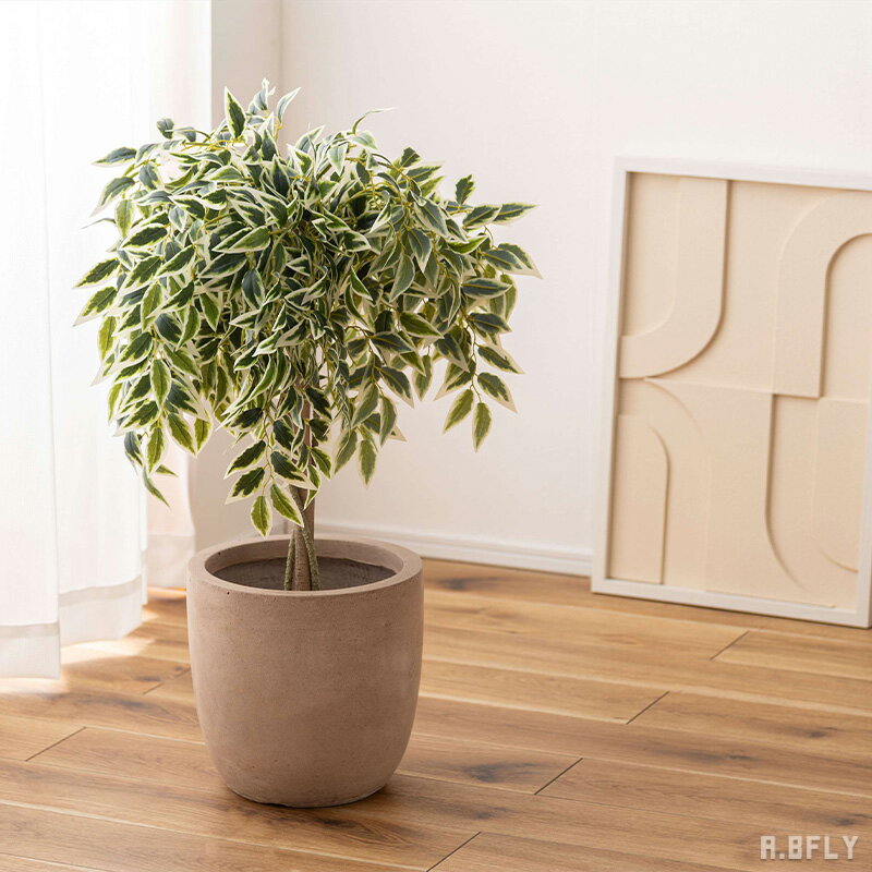 Benjamin - 【最大6,000円クーポン配布中】【高さ85cm ベンジャミン】人工観葉植物 フェイクグリーン 人工 観葉植物 グリーン インテリア メンテナンス簡単 水やり不要 アクセント ダイニング リビング 玄関 寝室 北欧テイスト 完成品[LF]