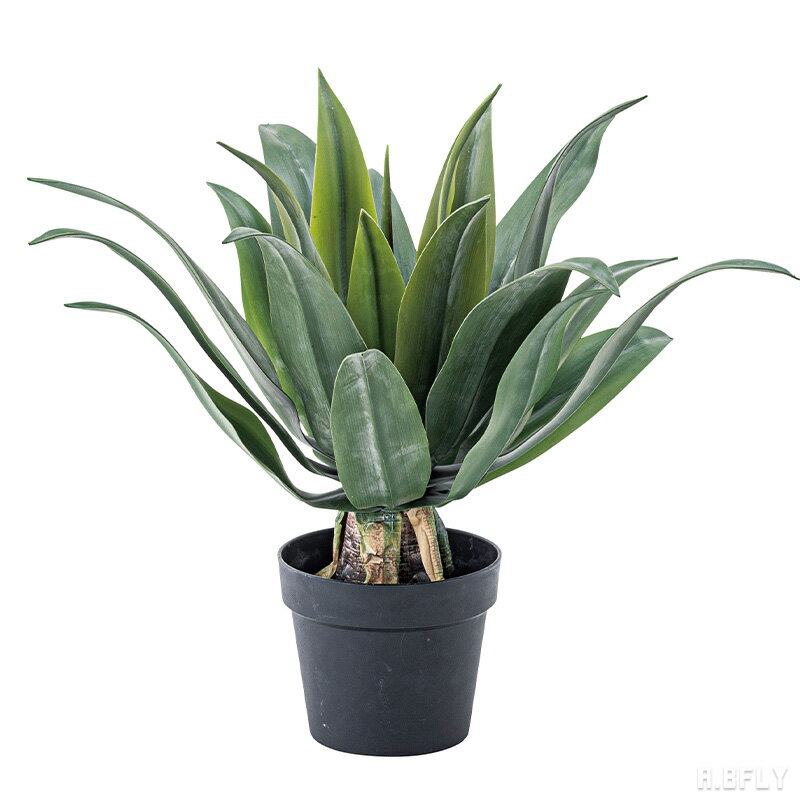Rakuten - 【SS最大8000円OFF】【高さ53cm アガベ】人工観葉植物 フェイクグリーン 人工 観葉植物 グリーン インテリア メンテナンス簡単 水やり不要 アクセント ダイニング リビング 玄関 寝室 北欧テイスト 完成品[LF]