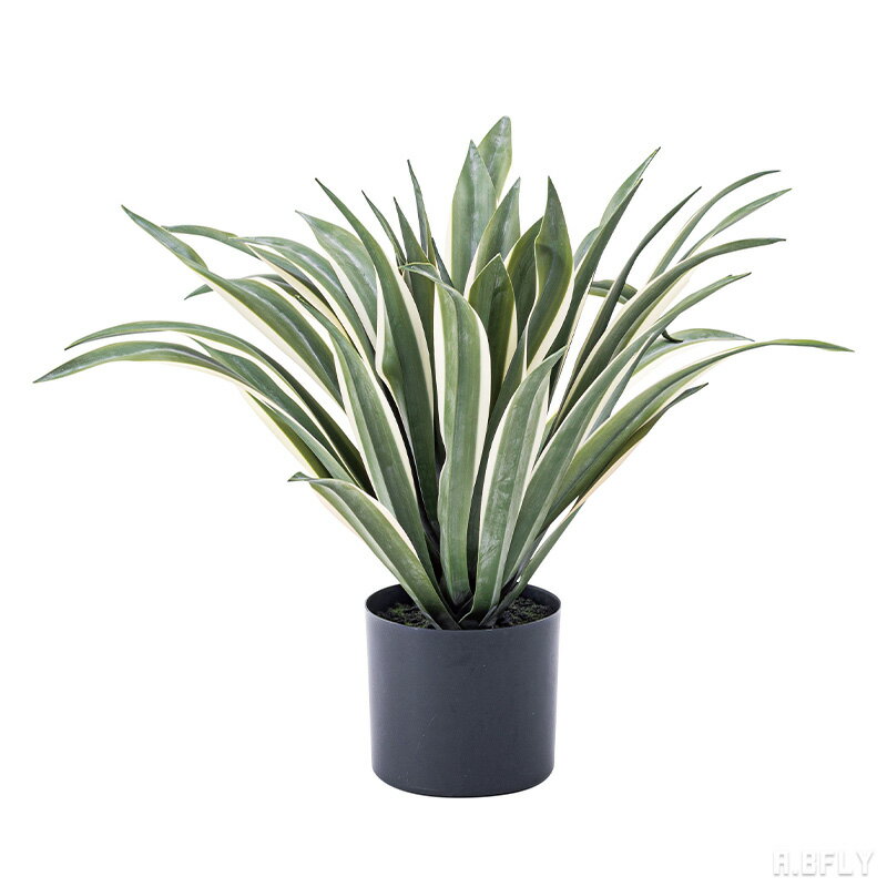 Rakuten - 【SS最大8000円OFF】【高さ50cm アガベ】人工観葉植物 フェイクグリーン 人工 観葉植物 グリーン インテリア メンテナンス簡単 水やり不要 アクセント ダイニング リビング 玄関 寝室 北欧テイスト 完成品[LF]