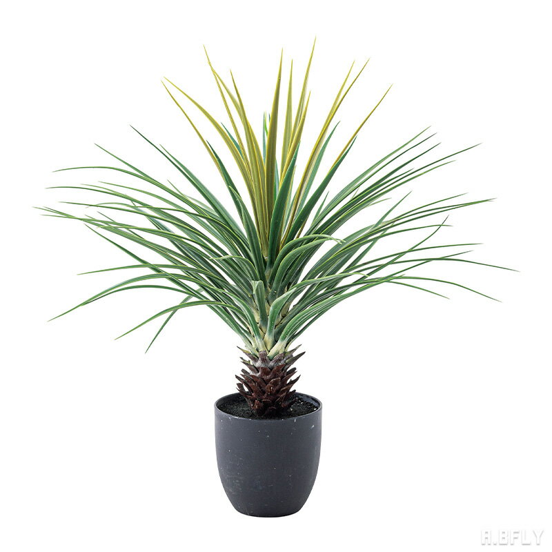 樂天商城 - 【最大6,000円クーポン配布中】【高さ67cm ミニパイナップル】人工観葉植物 フェイクグリーン 人工 観葉植物 グリーン インテリア メンテナンス簡単 水やり不要 アクセント ダイニング リビング 玄関 寝室 北欧テイスト 完成品[LF]