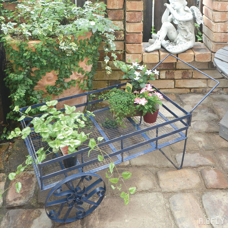 �������󥫡��� �ϥ�ɥ����� �겡���� �ץ�󥿡���å� �ץ�󥿡�������� ���ե��ƥ����� ����ӡ��ƥ����� ����ƥ����� �ӥ�ơ��� ȭ�֤� ȭ���� �ե�����󥸥��� �����ǥ˥� ¿����ʪ ���� ������ ������ơ����ù� �ǥ����ץ쥤 ����å� ����