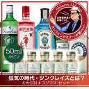 ジンの棚 3限目 狂気のジン時代 ジンクレイズとは？ （ おうちでBar体験 + セミナー動画 ） 4大GIN＋プリマスセット 単品プラン ゴードン ビーフィーター ボンベイ タンカレー プリマス セミナー 動画付き 美味しく 学べる おうちで BAR 体験 ！ 50ml × 5本 Gin リキュール