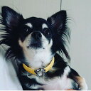 【マラソン限定最大2,000円OFFクーポン】ABISTE チョーカー プレゼント 華やか DOG PET ペット用品 おしゃれアイテム ブランド アビステ 母...