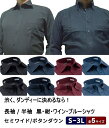 【最大2,000円オフクーポン】新色ワイン、ブルー追加 4色よりお選び下さい ワイシャツ 長袖 半袖 ボタンダウン セミワイド クールビズ ビジネスシャツ Yシ...