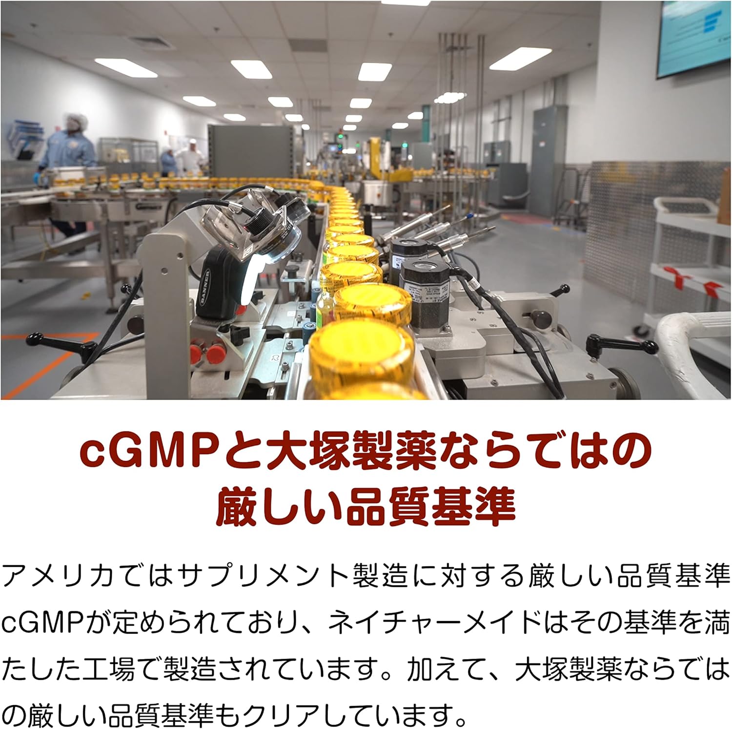 ネイチャーメイド 鉄 アイアン サプリメント 400粒 大容量 栄養機能食品 大塚製薬 コストコ 妊活 女性 貧血対策 栄養補給 鉄分 サプリ 鉄分補給 赤血球生成 サポート 3