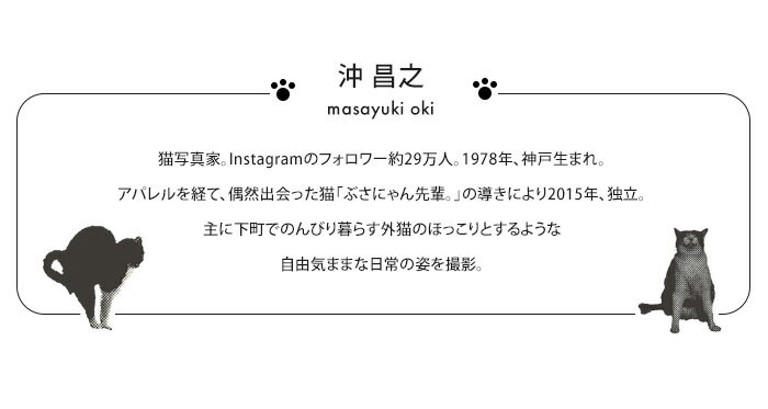 送料無料 Wpc. w.p.c. アンブレにゃん 長傘 雨傘 ビニール傘 ねこ 【 傘 かさ 沖昌之 猫 ネコ キャット ジャンプ 大きめ ビニール ビニ傘 カラー ドット おしゃれ かわいい 可愛い クリア 61cm 透明 ブランド ギフト コラボ プレゼント 食べ物 wpc】お中元