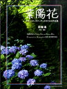 楽譜 莉燦馮 紫陽花 ギターソロ・デュオのための作品集