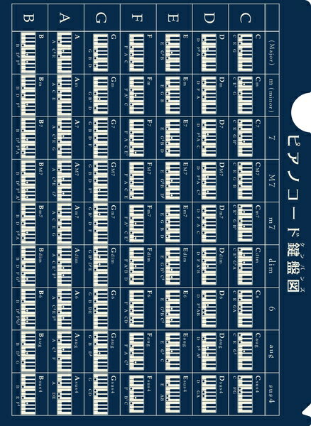 【取寄時、納期1〜2週間】大きなサイズのピアノコードファイル80th