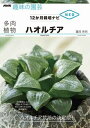 【取寄品】【取寄時、納期1~2週間】ハオルチア