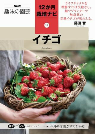乐天商城 - 【取寄品】【取寄時、納期1〜2週間】NHK趣味の園芸 12か月栽培ナビ13 イチゴ