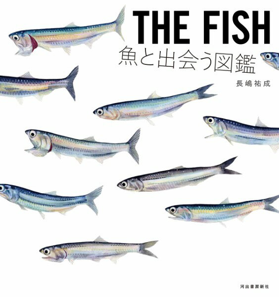 【取寄品】【取寄時 納期10日～3週間】THE FISH 魚と出会う図鑑【メール便を選択の場合送料無料】