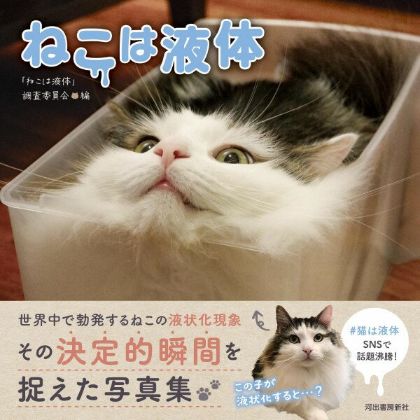 【取寄品】【取寄時、納期1〜2週間】ねこは液体