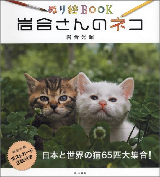 乐天商城 - 【取寄品】【取寄時、納期2〜3週間】ぬり絵BOOK 岩合さんのネコ （ポストカード）
