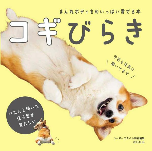 ***ご注意***こちらの【取寄品】の商品は、弊社に在庫がある場合もございますが、基本的に出版社からのお取り寄せとなります。まれに版元品切・絶版などでお取り寄せできない場合もございますので、恐れ入りますが予めご了承いただけると幸いでございます。メーカー:辰巳出版(株)ISBN:9784777825585PCD:2558刊行日:2020/04/21　