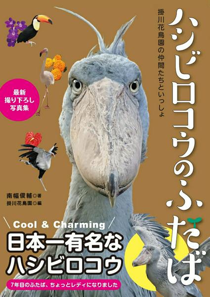 Rakuten - 【取寄品】【取寄時、納期2〜3週間】ハシビロコウのふたば
