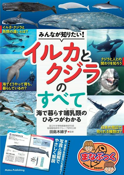 【取寄品】【取寄時、納期10日〜2週間】みんなが知りたい! イルカとクジラのすべて 海で暮らす哺乳類のひみつがわかる【メール便を選択の場合送料無料】