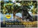 【取寄品】【取寄時、納期1~3週間】動物たちのしあわせの瞬間 増補版【メール便を選択の場合送料無料】