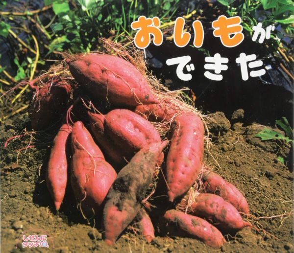 【取寄品】【取寄時、納期10日〜3週間】おいもができた【メール便不可商品】