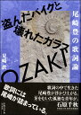 【取寄品】【取寄時、納期1週間~10日】盗んだバイクと壊れたガラス 尾崎豊の歌詞論【メール便を選択の場合送料無料】