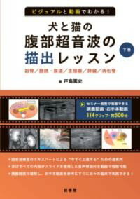 【取寄品】【取寄時、納期1〜3週間】ビジュアルと動画でわかる！ 犬と猫の腹部超音波の描出レッスン 下巻【メール便不可商品】【沖縄・離島以外送料無料】