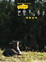 楽譜 ピアノ・ソロ NHK BSプレミアム 岩合光昭の世界ネコ歩き BGM集【メール便を選択の場合送料無料】