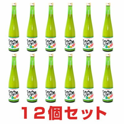 【R】青切りシークヮーサー100 (500ml)【12本セット】沖縄特産販売 シークワーサー 100％ 無添加【RSL出荷】