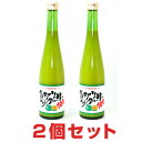 青切りシークヮーサー100 (500ml)【2本セット】沖縄