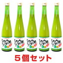 青切りシークヮーサー100 (500ml)【5本セット】沖縄