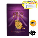【R】【ご愛顧感謝キャンペーン特価!!】五葉の松SPN ブラック(90粒) 【特製ピルケースプレゼント】五葉松の粒 種子エキス【RSL出荷】【ポスト投函】【代引...