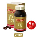 紫イペカプセルDX（400mg×250粒）［正規品］ably