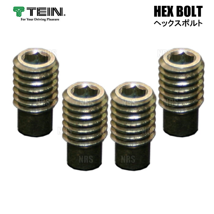 数量限定 在庫特価 正規品 TEIN TEIN HEX BOLT　EDFC ACTIVE/PRO用　4個入り　ヘックスボルト 補修パーツ テイン(SAP44-P8463-4S