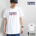 TOMMY JEANS トミージーンズ Tシャツ TJM CORP LOGO TEE EUモデル 大きいサイズ ホワイト メンズ レディース [DM0DM10214] 【あす楽対応】【メール便対応】
